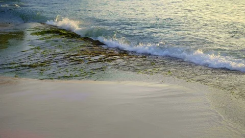 Slow motion of waves on sunset beach with sea grass Stock Footage 113270209