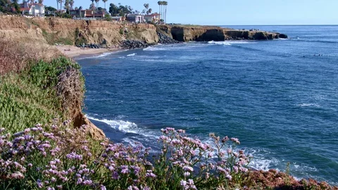 Slow Motion of Waves at Sunset Cliffs, San Diego Stock Footage 111505847