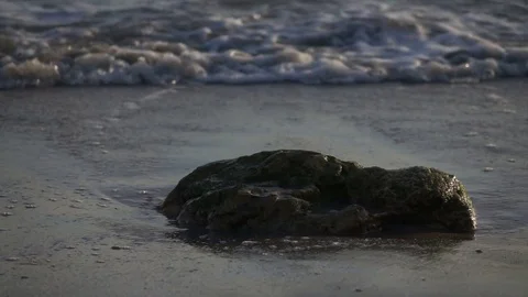 Slow Motion Waves Washing Up on Beach with Sole Rock Видео 78211491