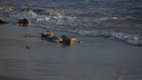 Slow Motion Waves Washing Gently Over Beach Shore Stock Footage 78211374
