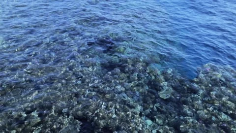 Slow motion waves on the water surface top view Stock Footage 161905228