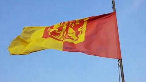 Slow motion of a waving flag Stockbeeldmateriaal 128012306