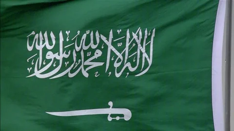 Slow Motion waving  Flag of Saudi Arabia Video stock 82776578