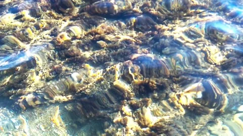Slow motion of wavy clean beach water Stock Footage 219782538