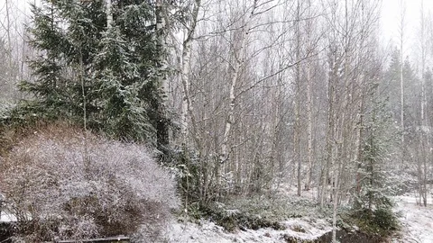 Slow motion wet snowfall in April, Finland Stock Footage 127825976