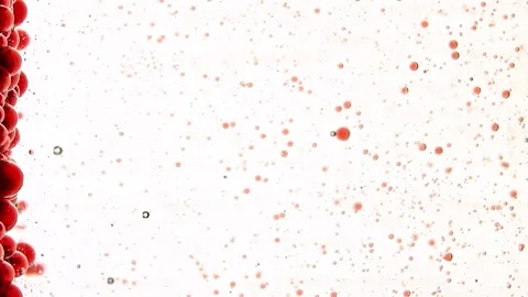 Slow motion on a white background red drops move horizontal abstraction Video stock 132188671