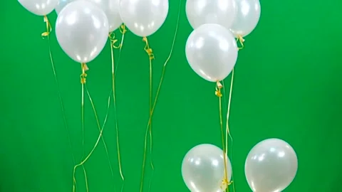 Slow motion white balloons fly up  on green screen Stock Footage 85555324