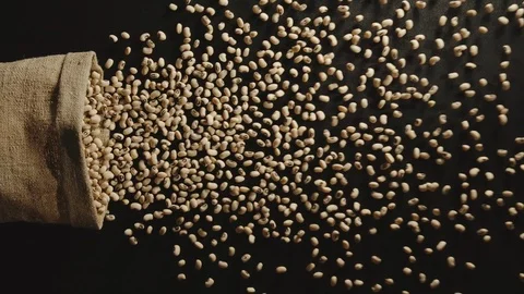 SLOW MOTION: White beans pour out of falling sack on black table - Top View Vídeos de archivo 98666179