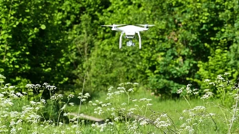  Slow motion . White Drone filming green wood  and meadow in summer time. Video stock 76830560