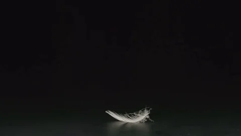 SLOW MOTION: White feather falls on a black desk 스톡 동영상 72553672