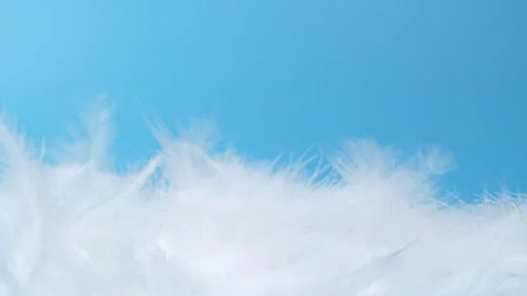 Slow motion white fluffy feathers falling and flying on chroma key background Vídeo Stock 259784950