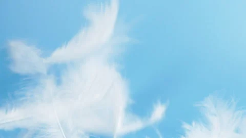 Slow motion white fluffy feathers falling and flying on chroma key background Vídeo Stock 272735073