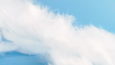 Slow motion white fluffy feathers falling and flying on chroma key background Stock Footage 278305092