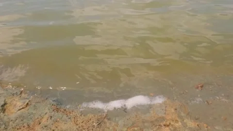 Slow motion of white foam on the edge of the lake Video stock 323149135