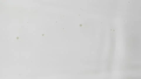 Slow motion white liquid cream ripples, close-up fresh milk drink splash texture Vídeo Stock 244367802