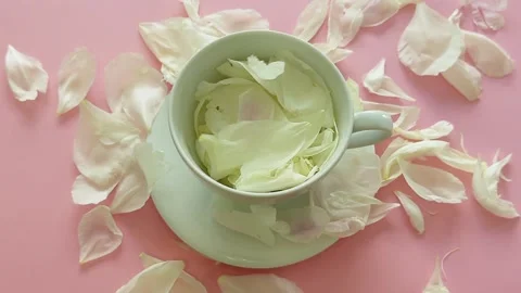 Slow motion white petals falling into a cup, pink background, beauty and spa Stock Footage 340109493