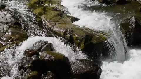 Slow Motion White River Rapids Stock Footage 246399575