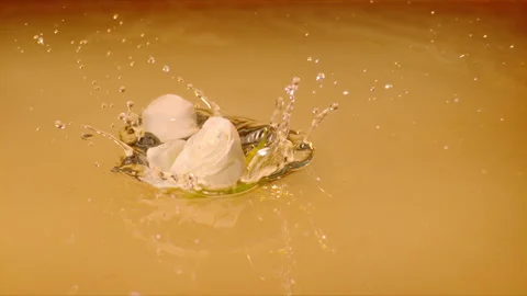 Slow motion: White rose dropping into gold liquid. UHD29.97p Stock Footage 247961837