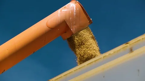 Slow motion wide shot of grain being loaded into a transport truck. Stock Footage 86897811