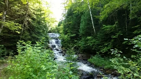 Slow motion Wide shot upstream of Scenic river step waterfalls in forest Vidéo 80493048