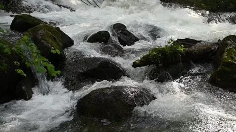 Slow motion of wild clear mountain river , stream flowing through rocks. Close Stock Footage 157092157