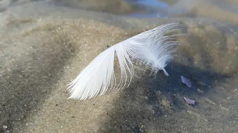 Slow Motion. The wind blows the white feather by the sand. It flies away. Stock Footage 121169902