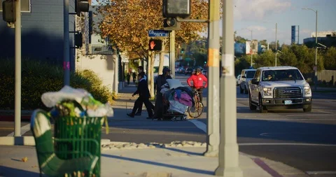 Slow motion on a windy day in Los Angeles, California Stock Footage 115511356