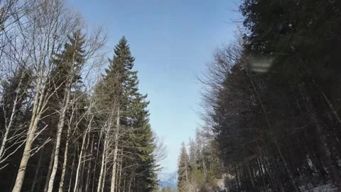 Slow Motion Winter Drive In The Heart Of Styrian Alpine Forest Vídeo Stock 328695075