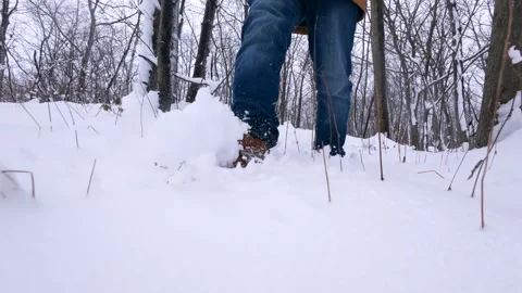 Slow Motion Winter Hike Through Forest Trail Nova Scotia Canada Stock Footage 328319135