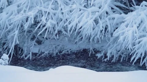 Slow motion. winter landscape. heavy snowfall. blizzard. bushes in snow over  Stock Footage 170553668