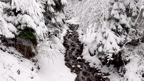 Slow motion. winter landscape. mountain stream Video stock 170553515