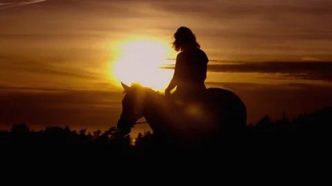 Slow motion woman riding a Thoroughbred ... | Stock Video | Pond5