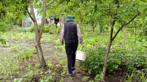 Slow Motion Woman Walking Through Green Vegetable Garden Path 스톡 동영상 337061074