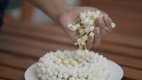 Slow motion, woman's hand is picking the white gardenia flower for the garland. Stock Footage 111142641