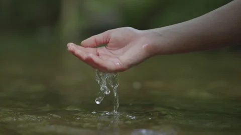 Slow Motion Woman's Hand Scoops Water From Stream in Forest. Female Hand To.. Stock Footage 310739613