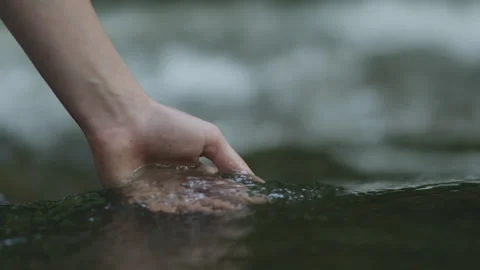 Slow Motion Woman's Hand Scoops Water From Stream in Forest. Female Hand To.. Stock Footage 310739640
