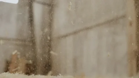 Slow motion wood shavings fly in the air. woodworking close-up Stock Footage 140961453