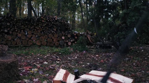 Slow Motion Wood Splitting Video stock 81746783