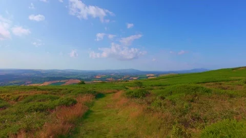 Slow motion wooden bench under green tree on hill top Stock Footage 340441571
