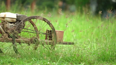 Slow motion worker cutting grass in sports field by mower Vídeos de archivo 142008164