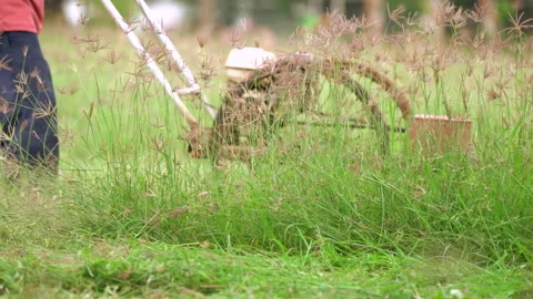 Slow motion worker cutting grass in sports field by mower Stock Footage 142011503