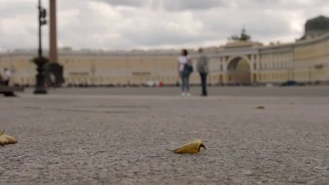 SLOW MOTION: Yellow leaf flies on the Palace Square on General Staff background Stockbeeldmateriaal 84157896