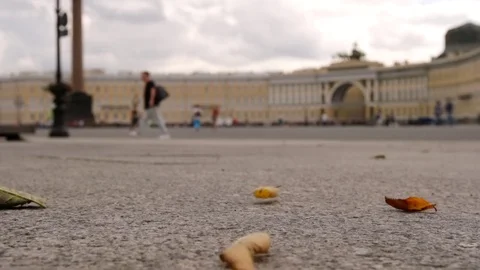 SLOW MOTION: Yellow leaves fly on the Palace Square on General Staff background Видео 84157898