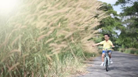 Slow motion Young Asian boy ride a blue bicycle and touch the grass flower Vídeos de archivo 58168516