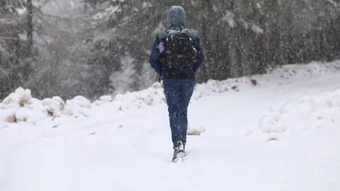 Slow motion of young boy walking in forest during snowstorm Stock Footage 174741029