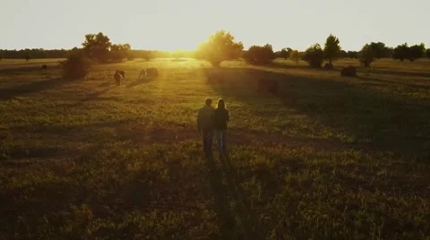 Slow motion young couple is walking in the autumn field Stock Footage 68094053