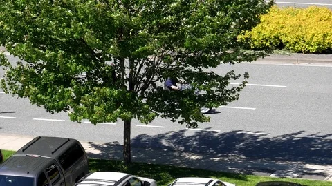Slow motion of young man on scooter passing tree on road. Stock Footage 76030235