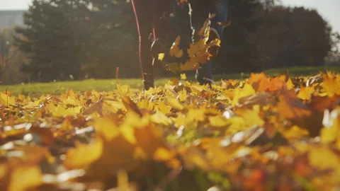 Slow Motion, young romantic couple Walking in Autumnal Park on Orange Leaves Stock Footage 99255745
