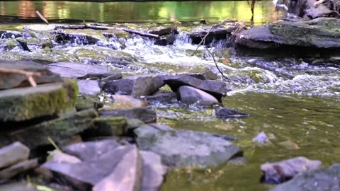 Slow Motion Zoom and Pan in on stream in a rural section of Northeastern USA Stock Footage 148655910
