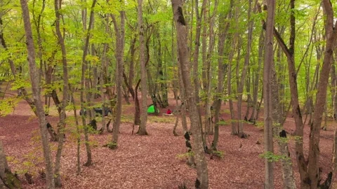 Slow motion zoom in view Young caucasian woman alone by fire camping outdoors Stock-Footage 148067109